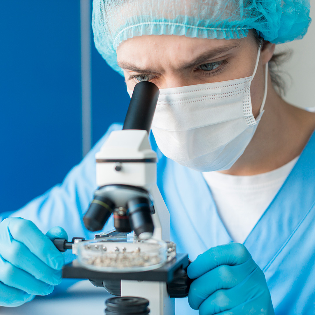 A microscopic view of cells, representing science and research.